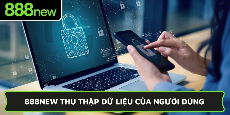888NEW thu thập dữ liệu của người dùng