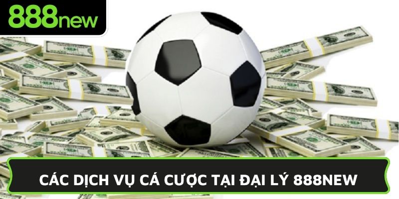 Các dịch vụ cá cược tại đại lý 888NEW