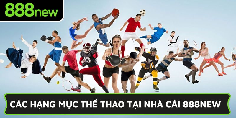 Các hạng mục thể thao tại nhà cái 888NEW