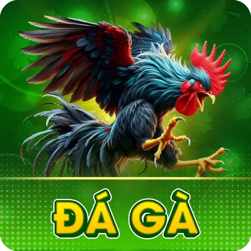 đá gà