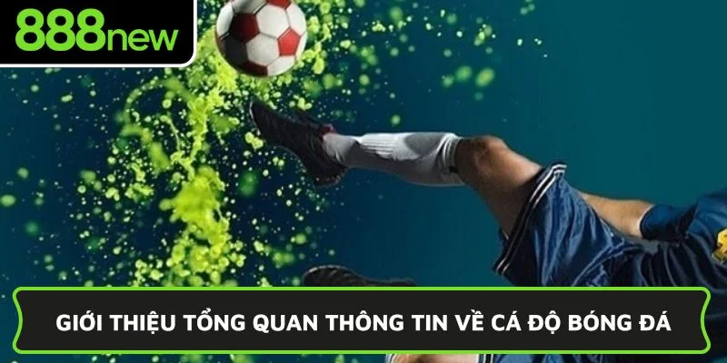 Giới thiệu tổng quan thông tin về cá độ bóng đá