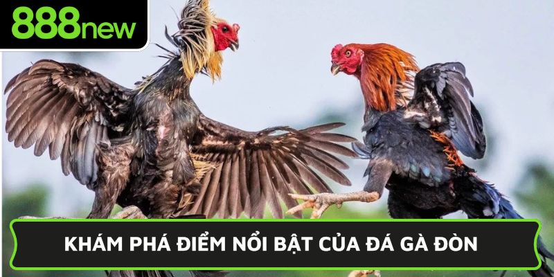 Khám phá điểm nổi bật của đá gà đòn C1