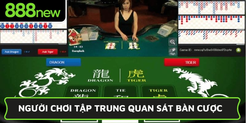 Người chơi tập trung quan sát bàn cược