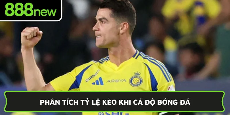 Phân tích tỷ lệ kèo khi cá độ bóng đá