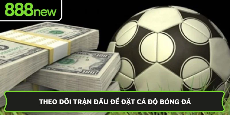 Theo dõi trận đấu để đặt cá độ bóng đá