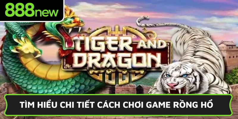 Tìm hiểu chi tiết cách chơi game Rồng Hổ