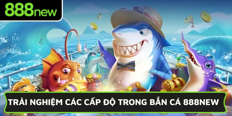 Trải nghiệm các cấp độ trong bắn cá 888NEW